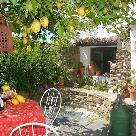 Σπίτι διακοπών Sunflower *