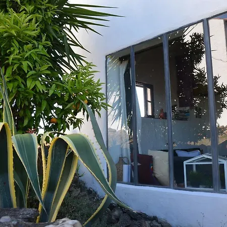 Sunflower Σπίτι διακοπών